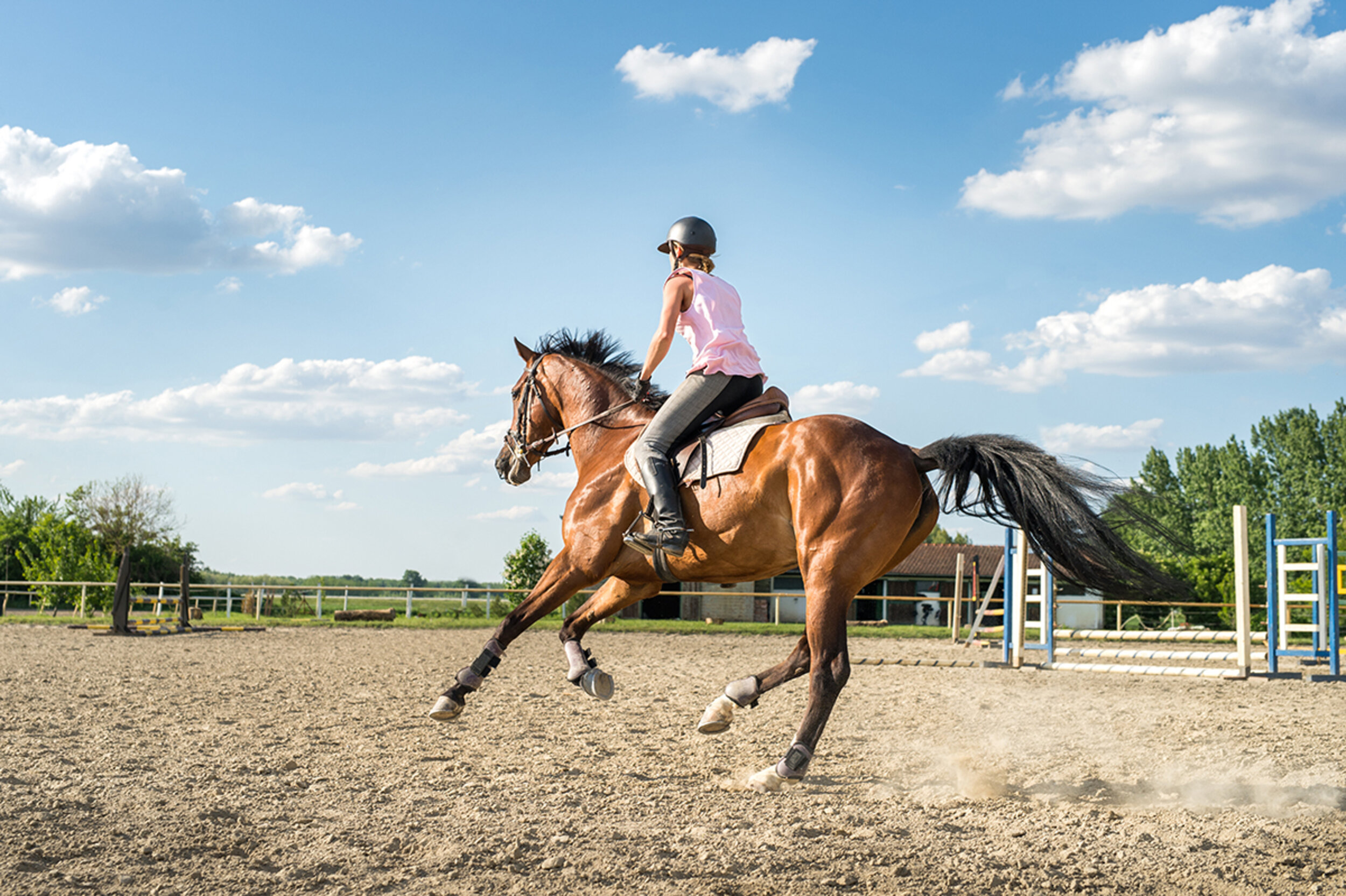 A rider on a horse